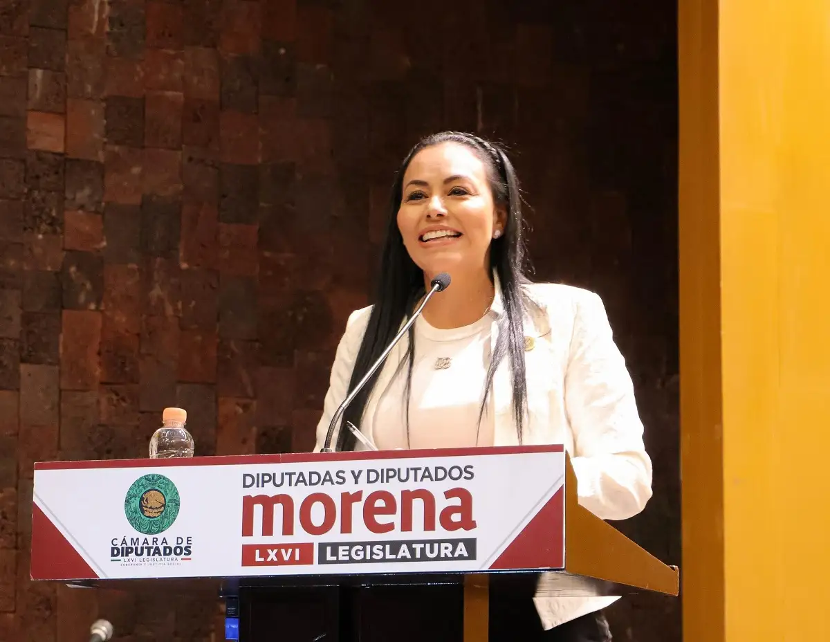 Diputada Sandra Anaya presume video 