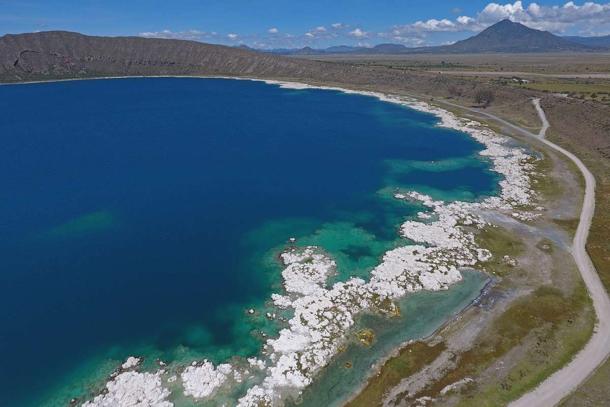 Buzos graban a los ajolotes de la Laguna de Alchichica1