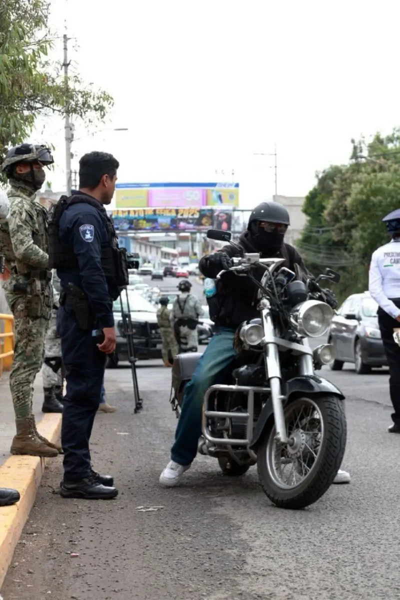 Con 210 operativos interinstitucionales, fueron detenidas 87 personas SSP