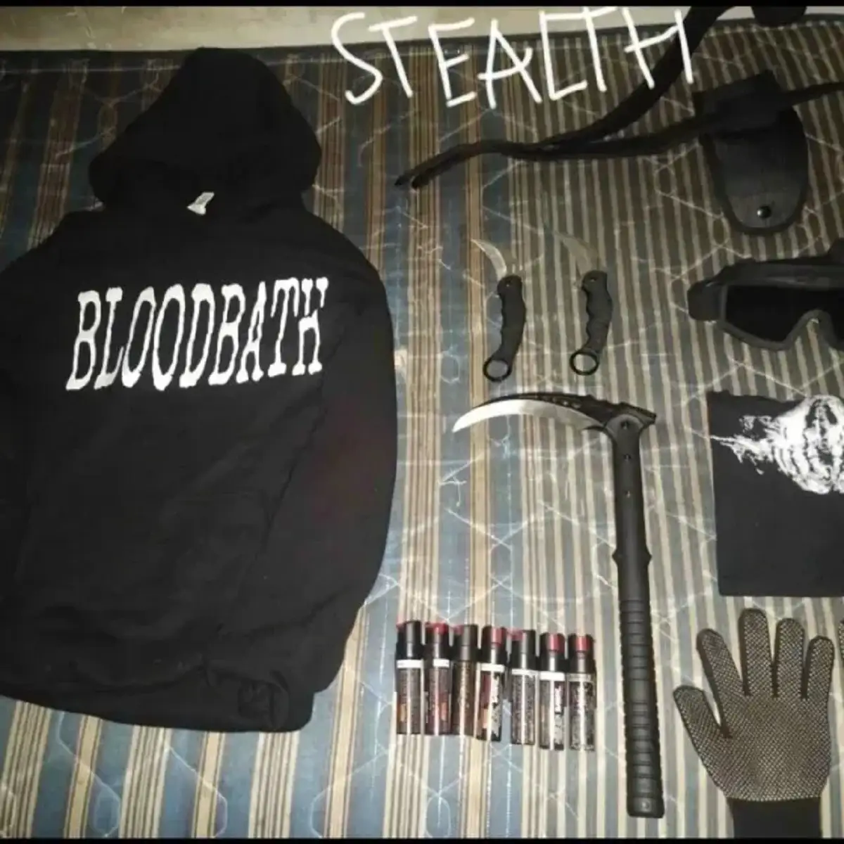 Esto es lo que sabemos de Lex Ashton, el presunto asesino del CCH Sur