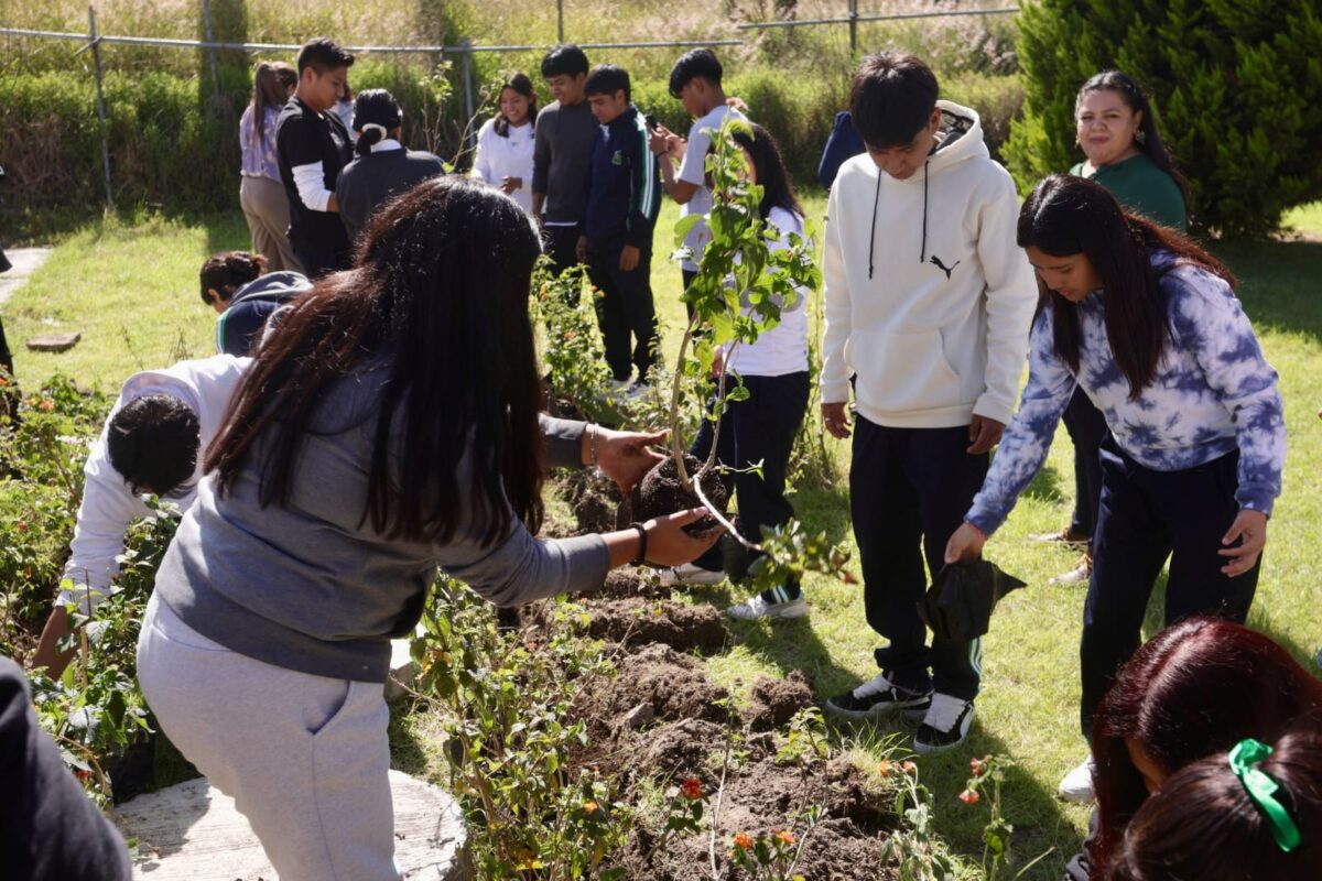 Imagen de WhatsApp 2025 09 18 a las 16.43.38 fe0f8f29