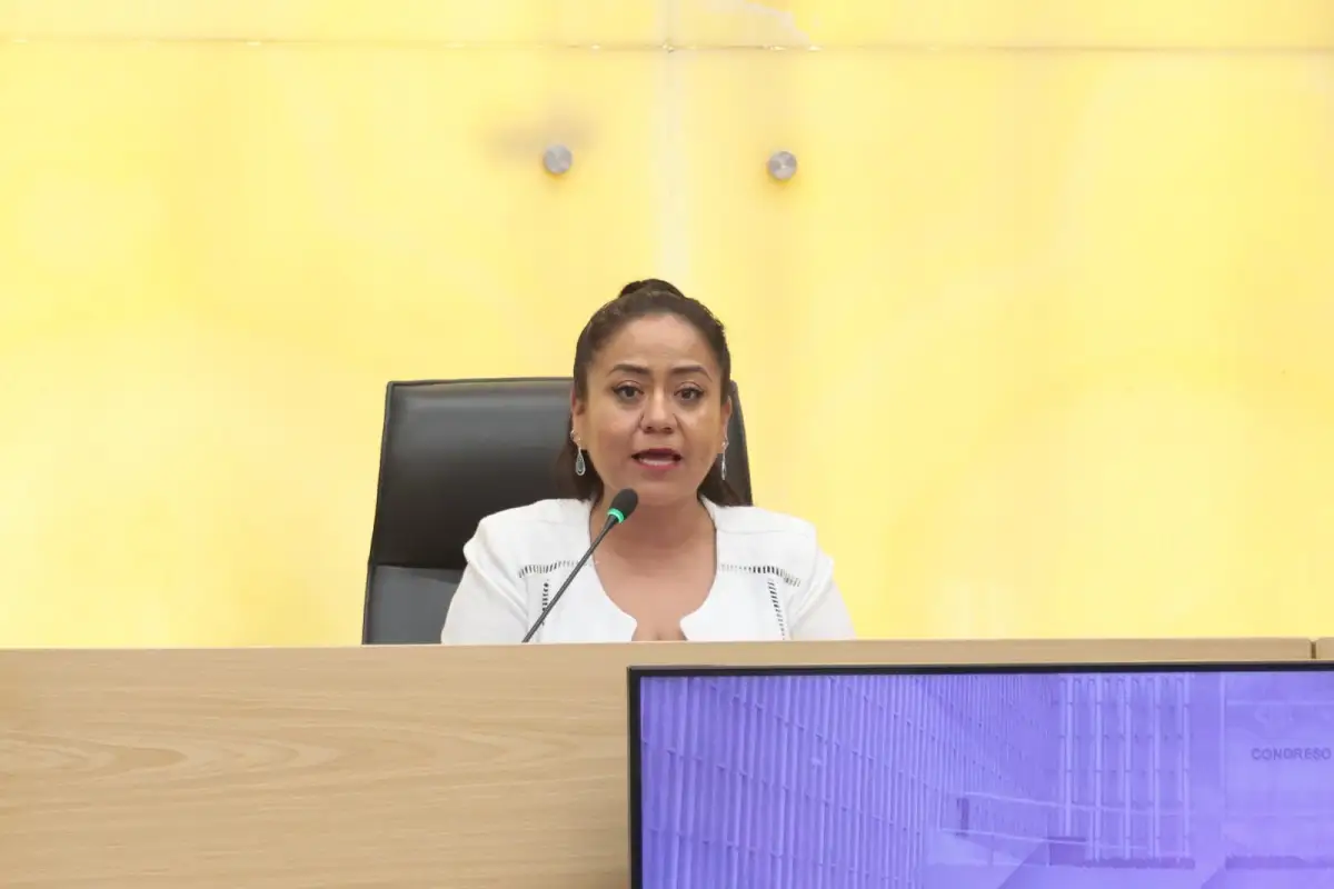 Urgente fortalecer prevención y atención de preeclampsia y eclampsia: Celia Bonaga Ruíz