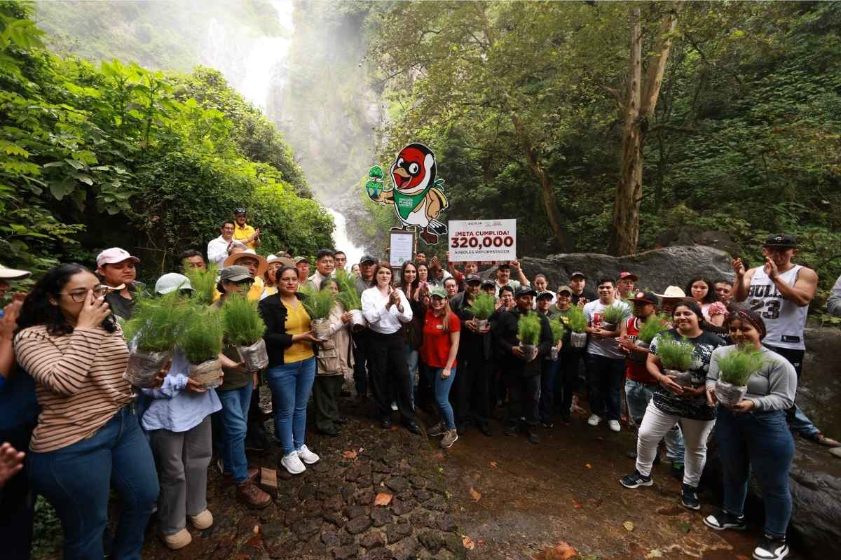 Zacatlán concluye temporada de reforestación 2025
