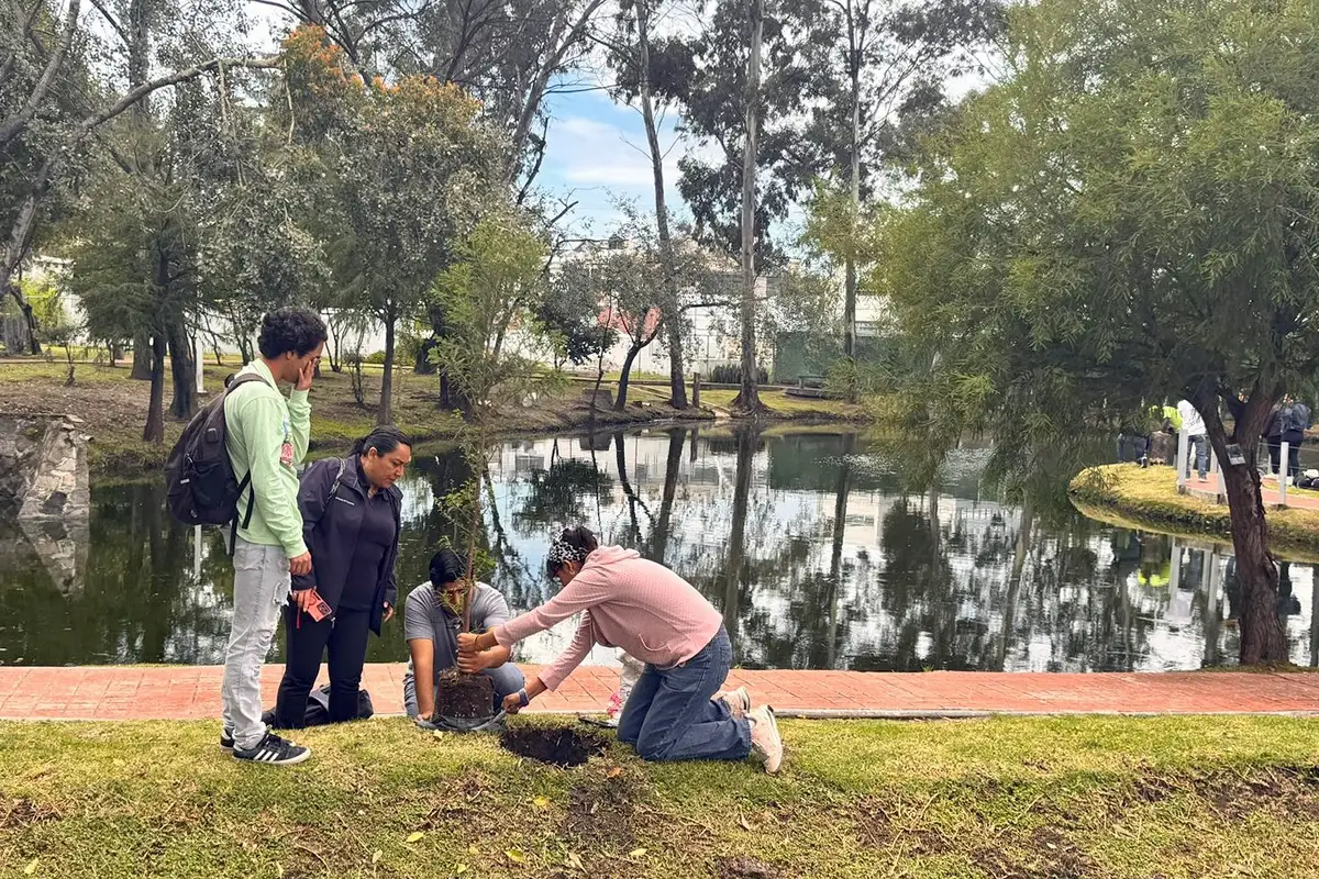 Raíces que nos unen: BUAP siembra ahuehuetes en Ciudad Universitaria