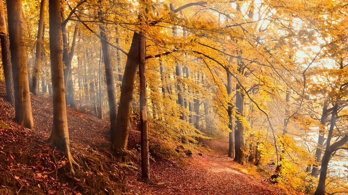 Equinoccio de otoño 2025 en México