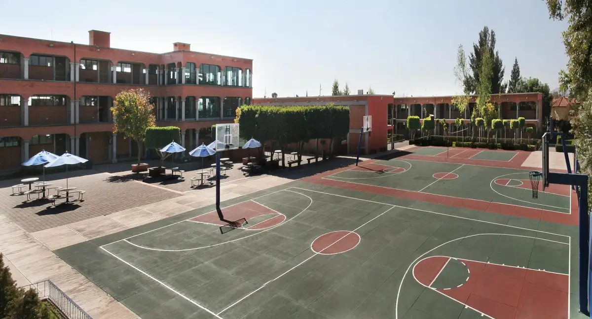 Menor que mató a argentina regresa al Instituto D’Amicis