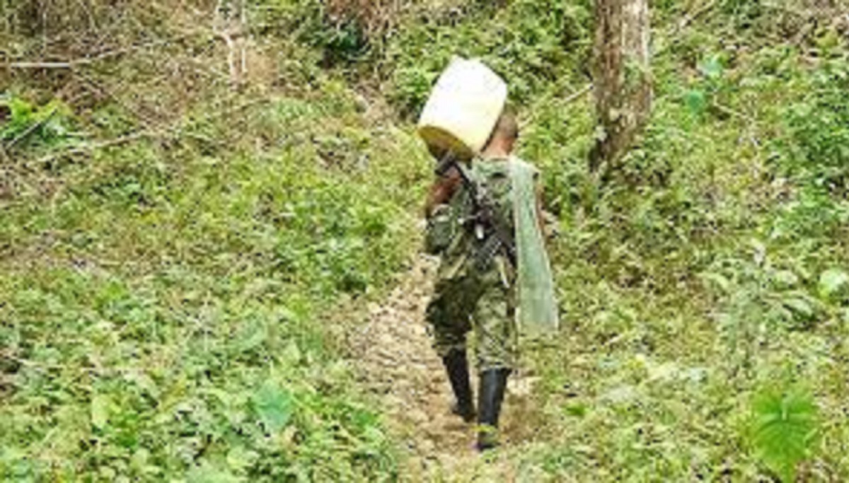 niños como halcones en Puebla
