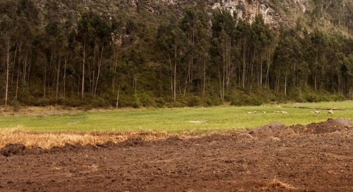 Detienen a presunto asesino serial caníbal que hacía rituales con sus víctimas 2 Detienen a presunto asesino serial canibal que hacía rituales con sus víctimas