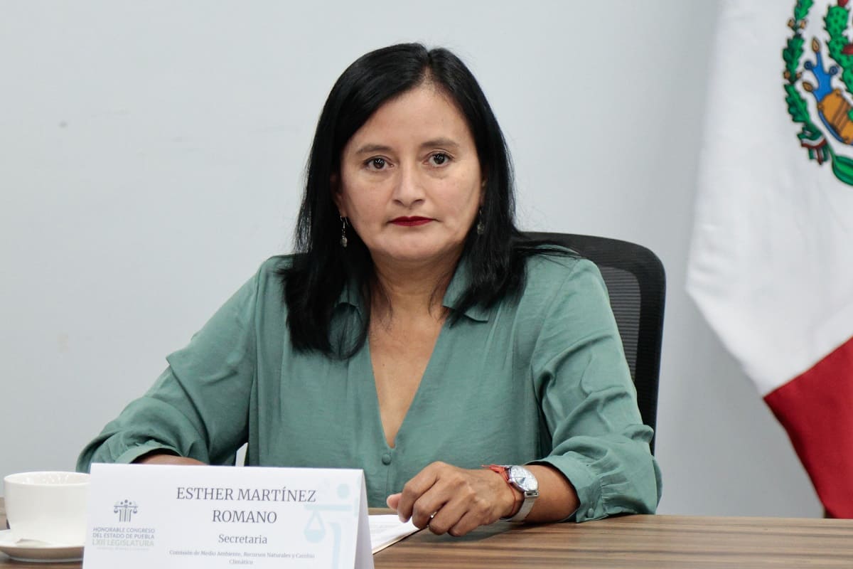 Esther Martínez Romano se perfila como coordinadora de bancada del PT