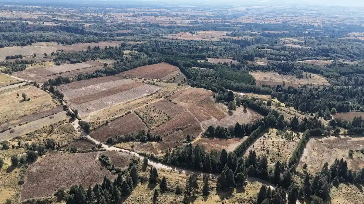 Federación autoriza construcción del Ecoparque La Malintzi 2 Federación autoriza construcción del Ecoparque La Malintzi