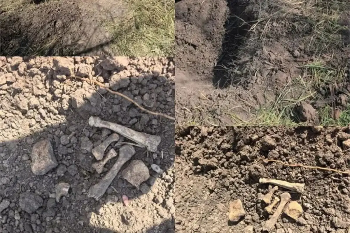 Hallan 12 cuerpos en una fosa clandestina de Irapuato entre ropa, identificaciones y teléfonos celulares