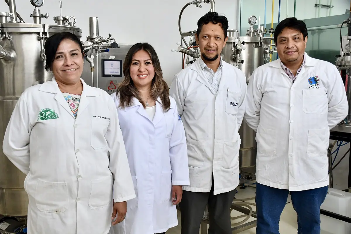 Inocrep BUAP solución biotecnológica para una agricultura sustentable 1 Inocrep BUAP solución biotecnológica para una agricultura sustentable