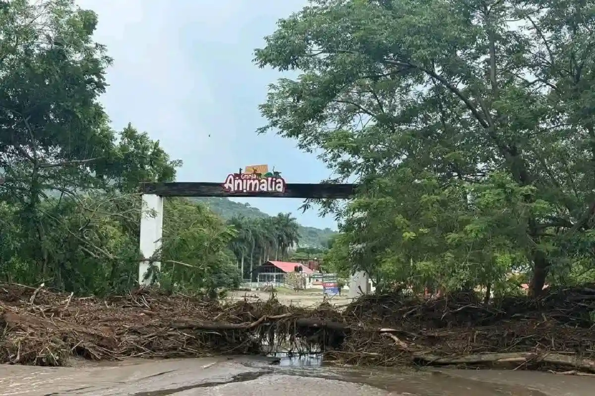 Investigarán la custodia del zoológico de Xicotepec por tigre que murió ahogado 1 Investigarán la custodia del zoológico de Xicotepec por tigre que murió ahogado