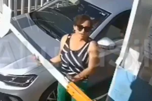 Lady Pinche Gato Muerto de Hambre