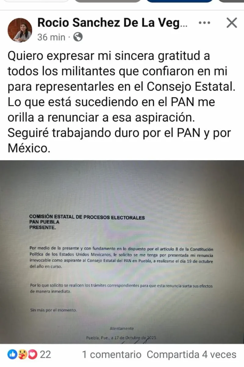 Rocío Sánchez y Pablo Montiel presentan renuncia a postulación del Consejo Estatal