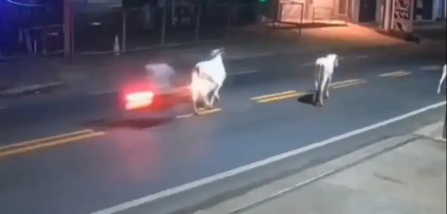 (VIDEO) Así fue el accidente donde murió el futbolista brasileño Antony Ylano 2 Antony Ylano, futbolista brasileño, muere en accidente de moto