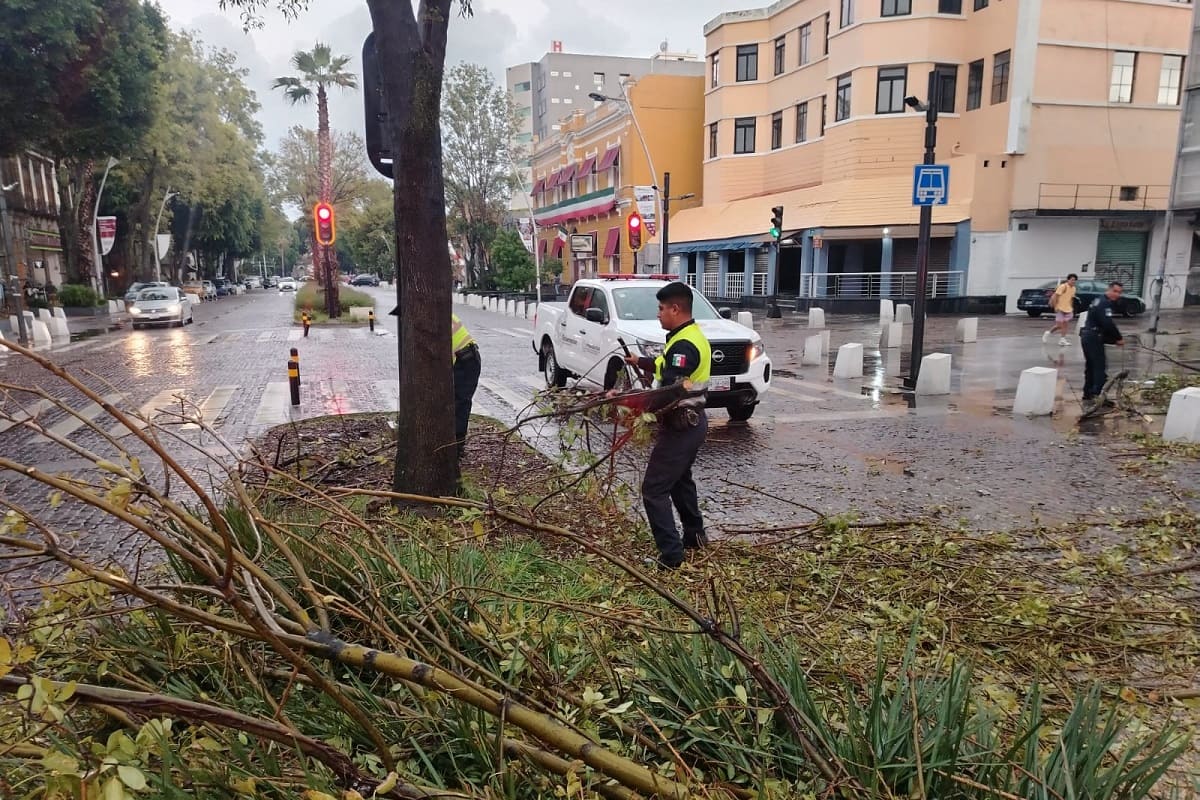 Atienden Protección Civil Municipal, Estatal y Control de Tránsito caída de árbol en la Avenida Juárez, descartan personas lesionadas 1 atienden caída de Árbol sobre avenida juárez
