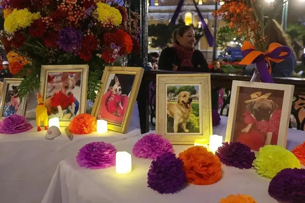 ¿Por qué se celebra el Día de Muertos para mascotas el 27 de octubre?