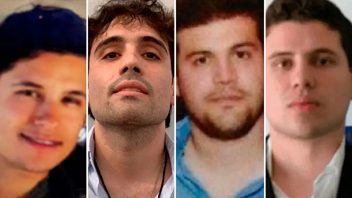 empresas vinculadas con Los Chapitos