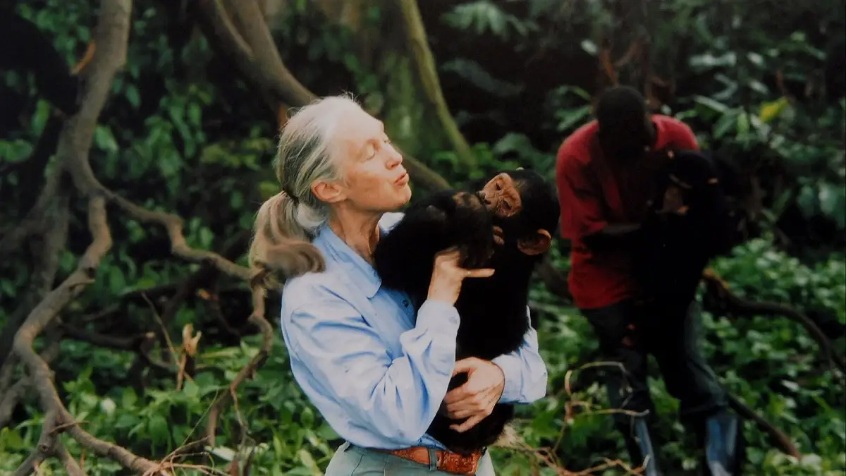 Muere Jane Goodall