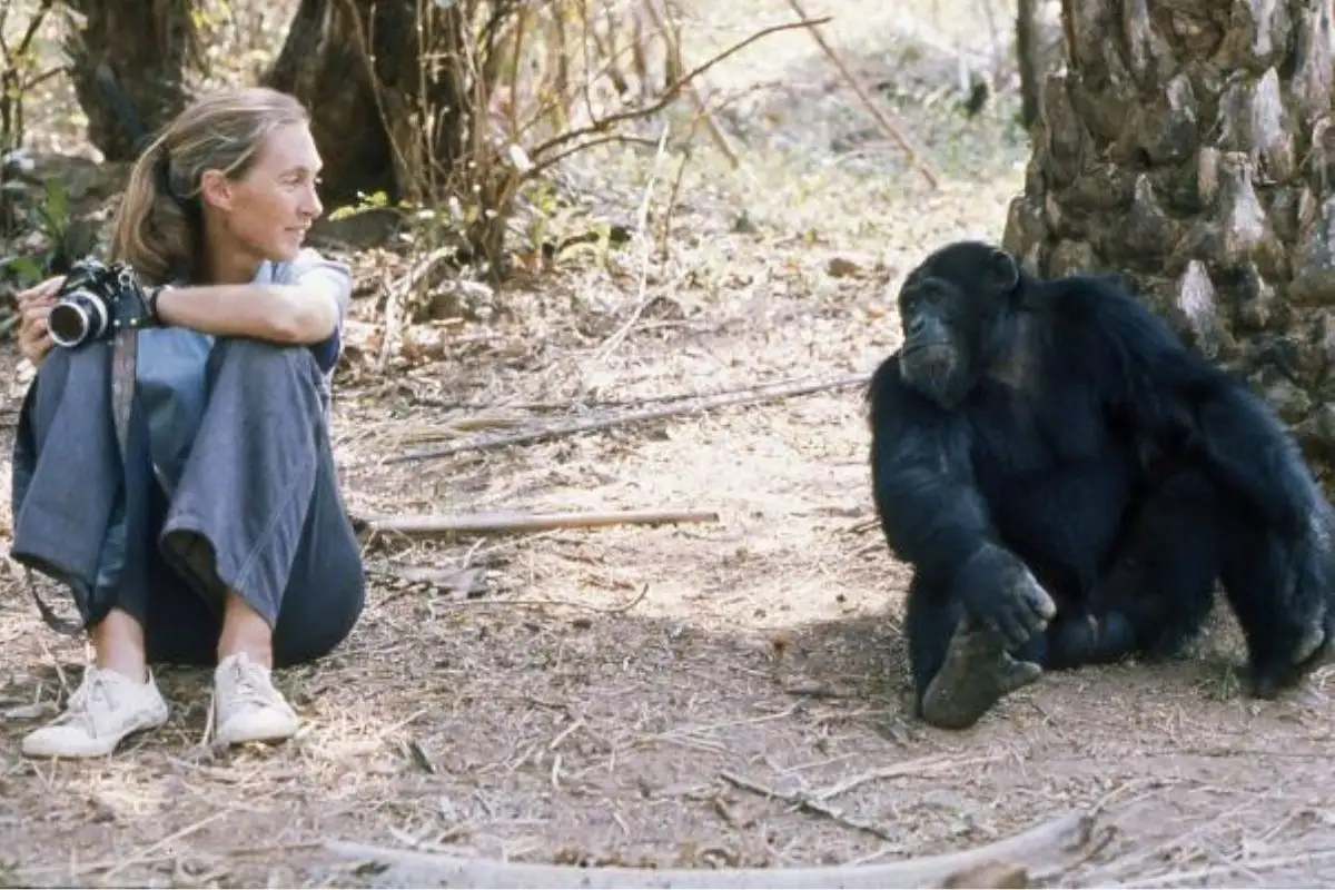 Muere Jane Goodall