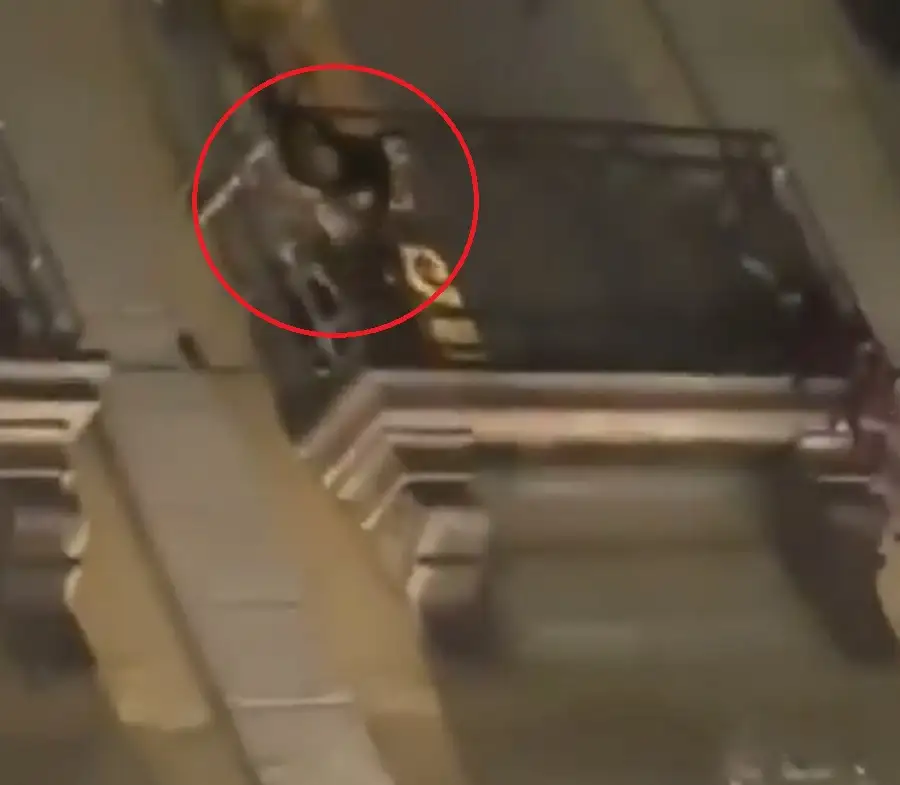 mono araña en Los Portales del zócalo de Puebla 