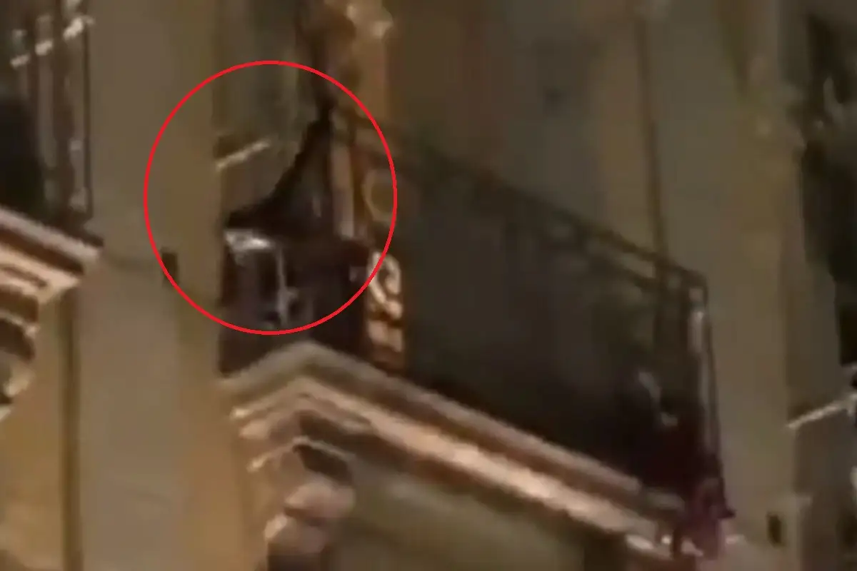 mono araña en Los Portales del zócalo de Puebla