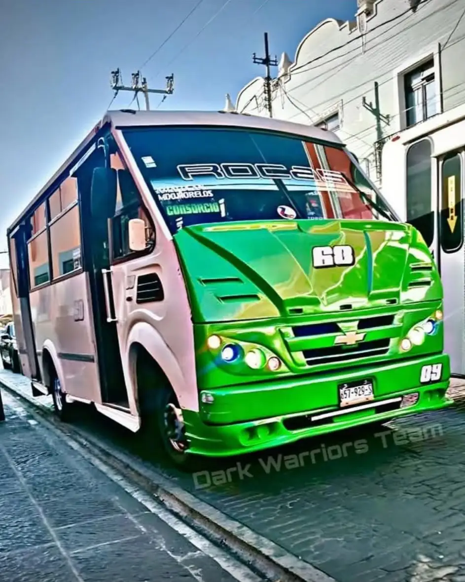 ruta 68 atropelló a un perro 