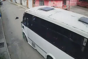 ruta 68 atropelló a un perro