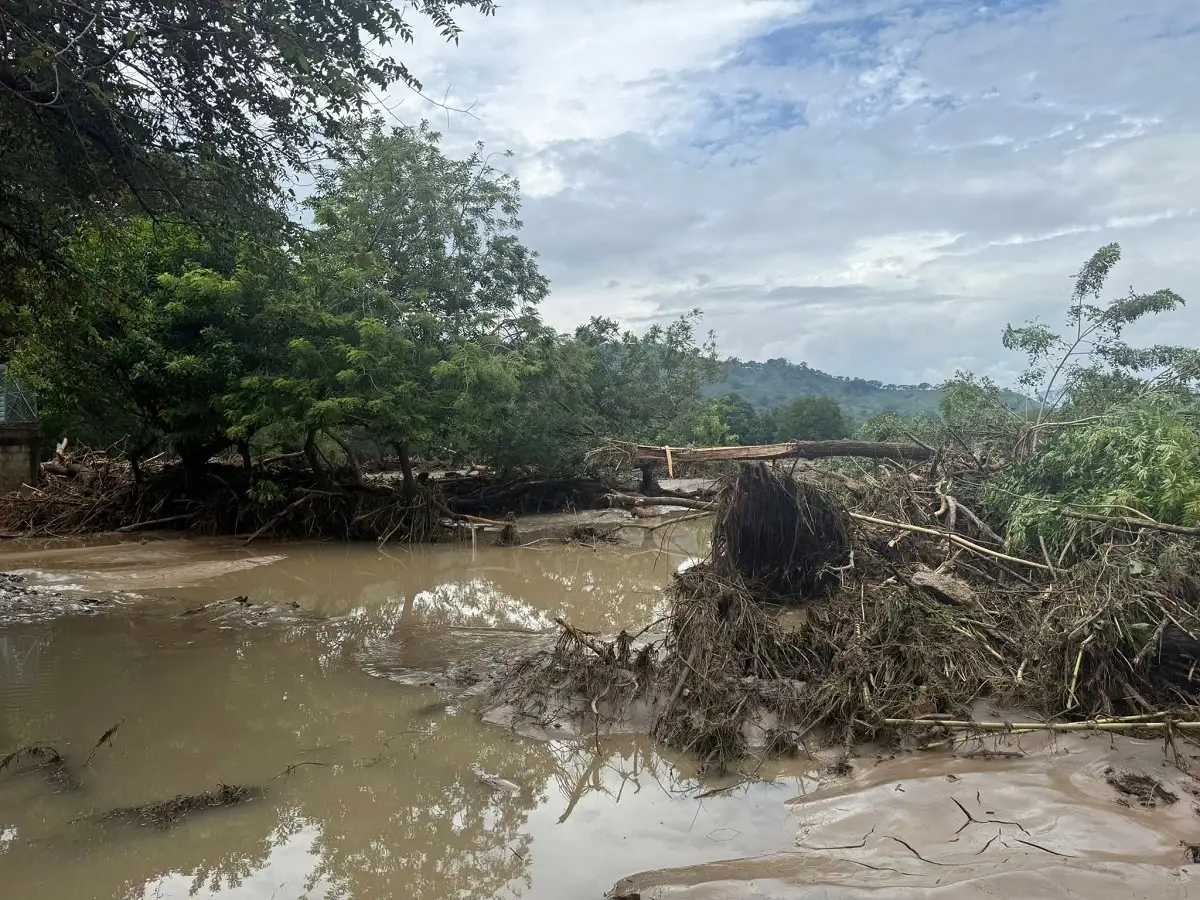 Encuentran a tigre de bengala en Xicotepec que se escapó