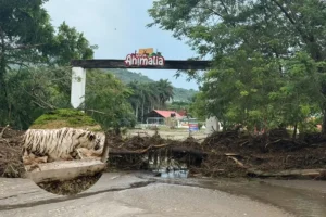 Encuentran a tigre de bengala en Xicotepec que se escapó