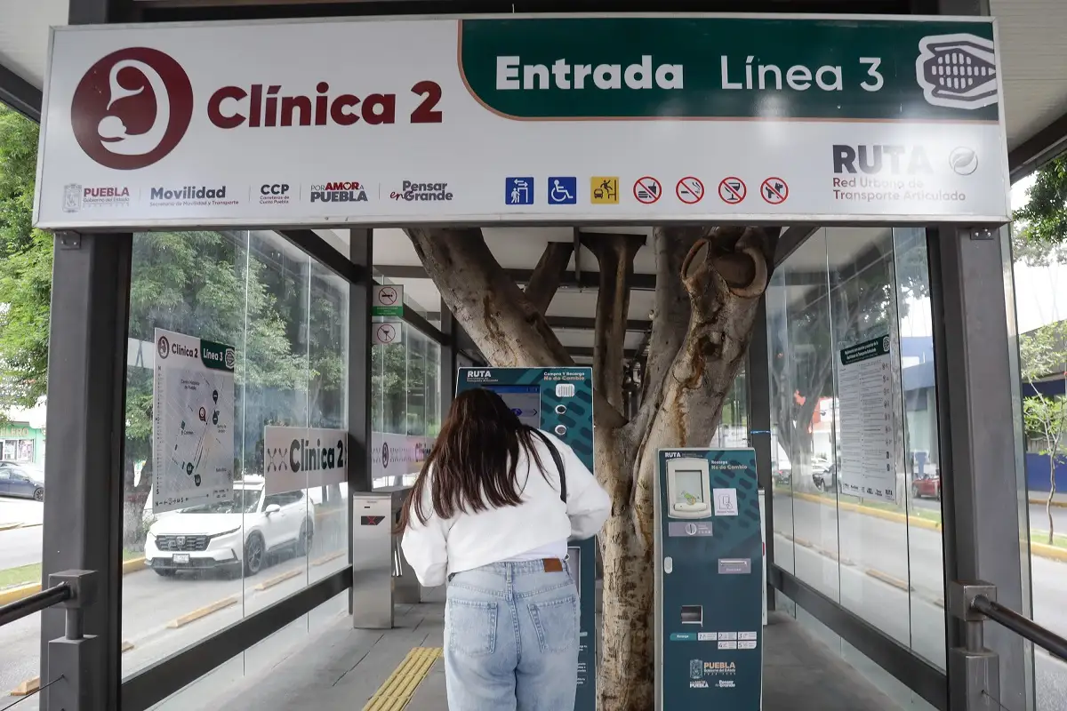 Cambios y cierres de la Línea 3 de RUTA por el desfile del 20 de noviembre