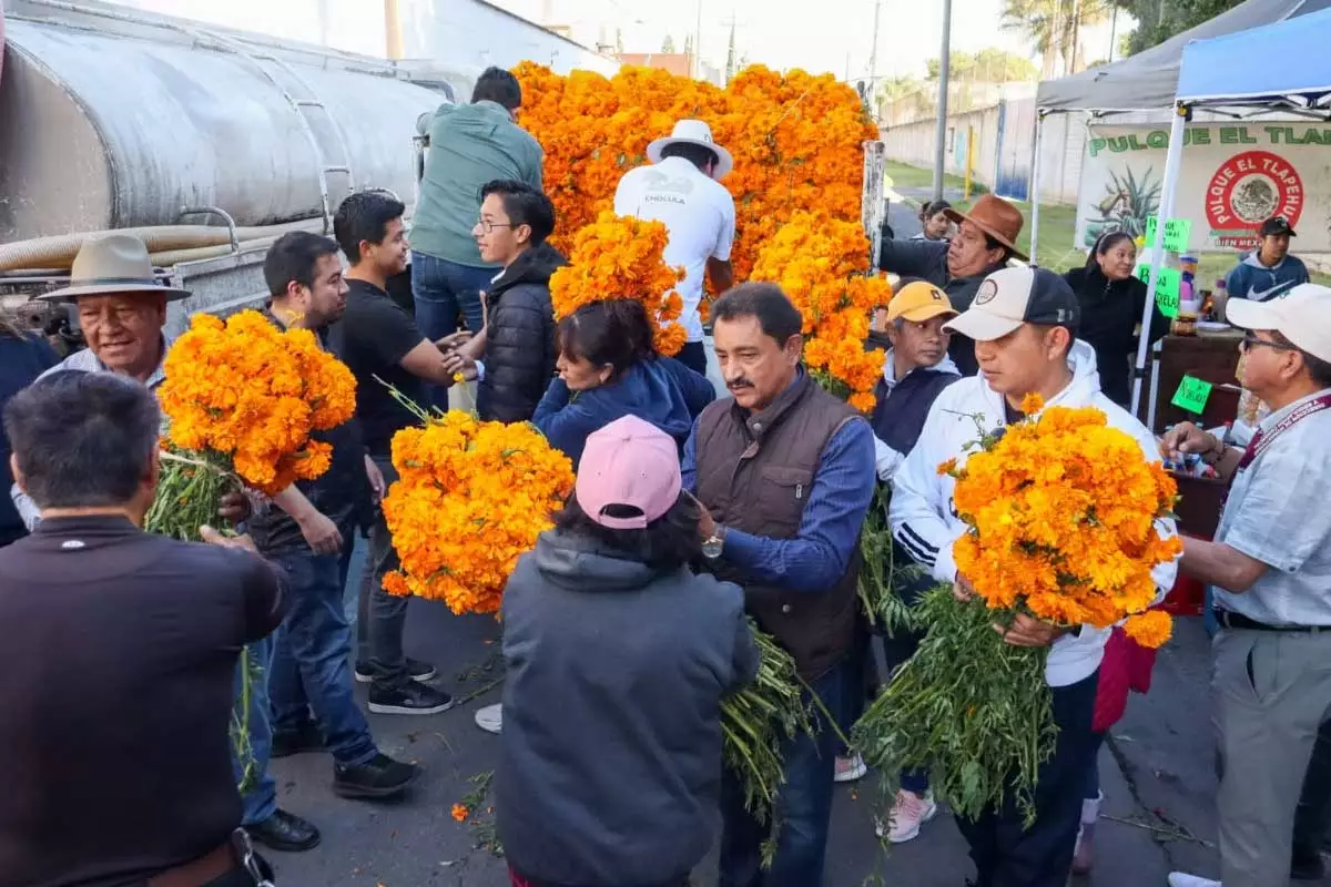 Entrega Gobierno de Tonantzin Fernandez flores en panteones municipales 3