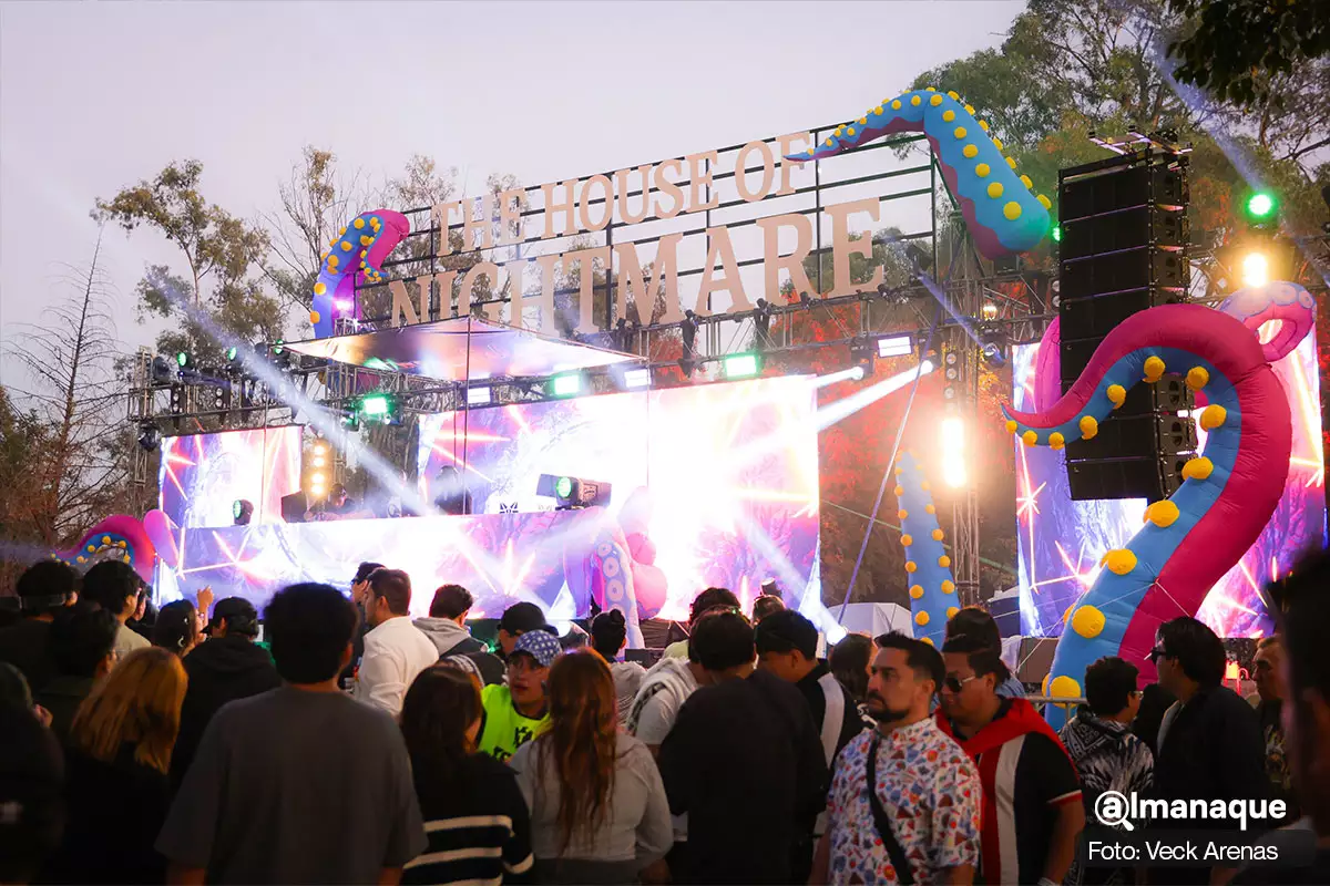 Festival Dreamfields Puebla 2025 13