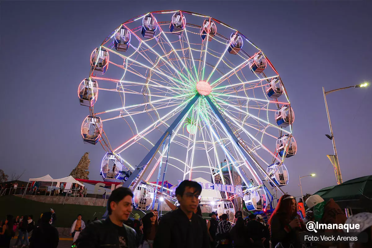 Festival Dreamfields Puebla 2025 6