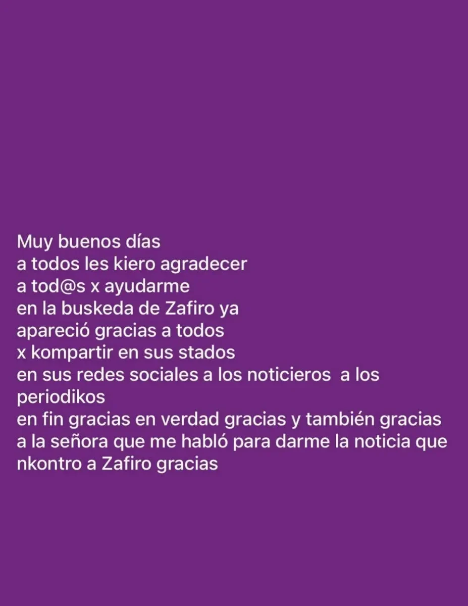Zafiro el gato cobrador de Los Morados, reaparece sano y salvo