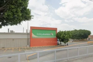 En asalto a Bodega Aurrera de Chapulco se roban celulares