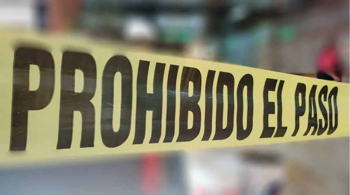 cateo en el cluster Veneto