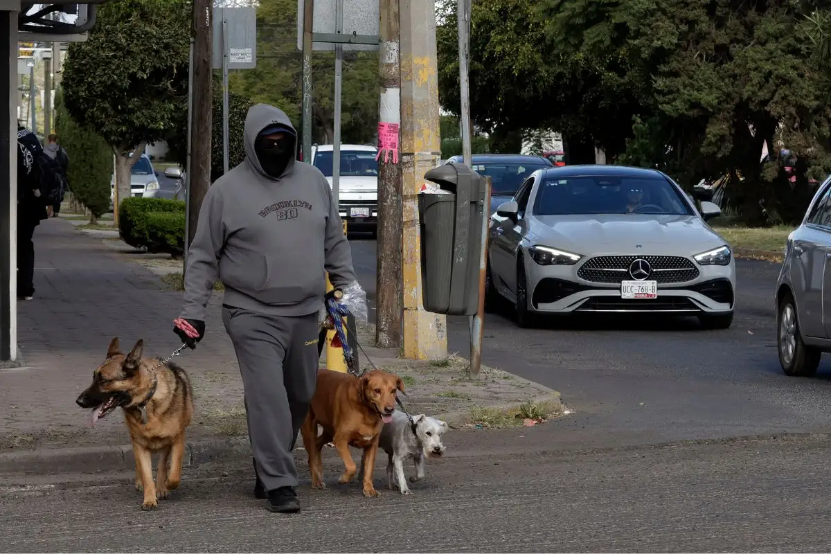 Este es el pronóstico del clima en Puebla hoy 28 de noviembre