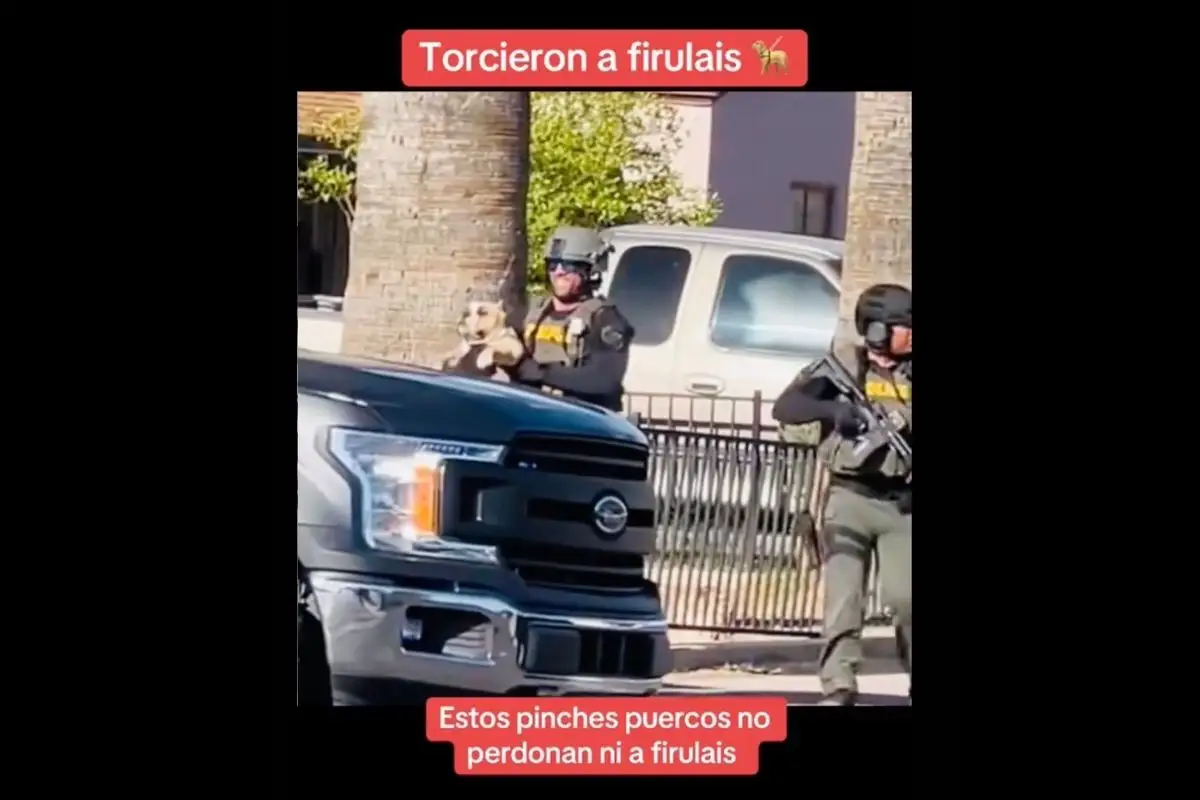 Tiktoker poblano detenido por el ICE en Estados Unidos