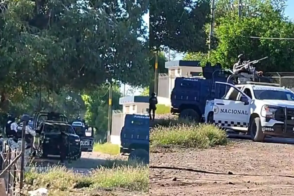 Enfrentamiento en Guasave deja 13 muertos y cuatro detenidos