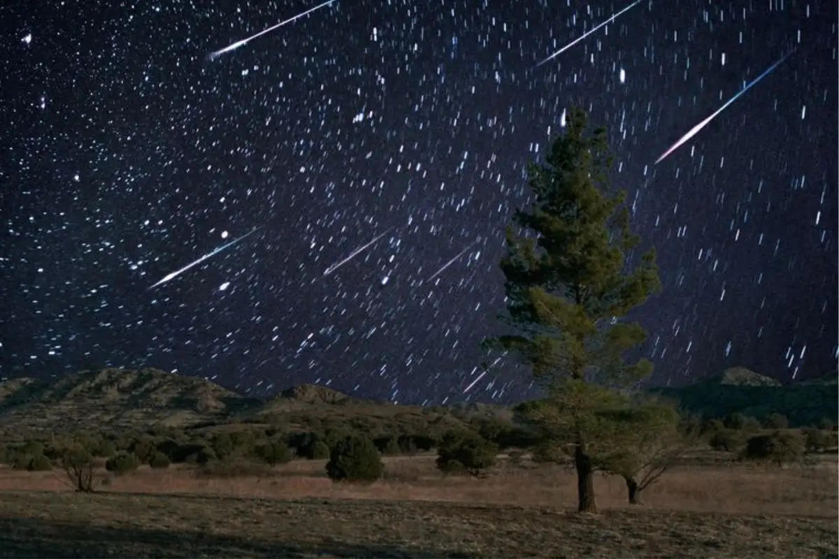 ¿Cuándo y cómo ver la lluvia de meteoros Leónidas en México? 1 lluvia de meteoros Leónidas en México