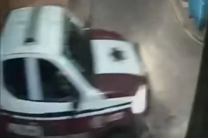 (VIDEO) Patrulla de Tulcingo atropelló a gato y ni si quiera se detuvo