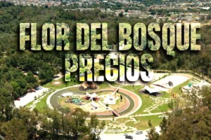 Estas son las tarifas en el Parque Flor del Bosque para el 2026 en Puebla: cabañas, gotcha, tirolesa