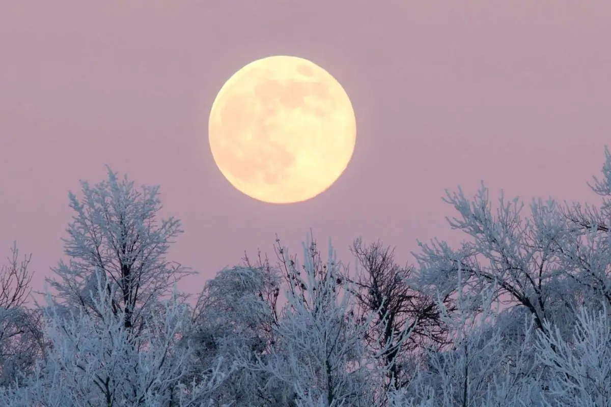 ¿Cuándo ver la Superluna Fría 2025 en México?