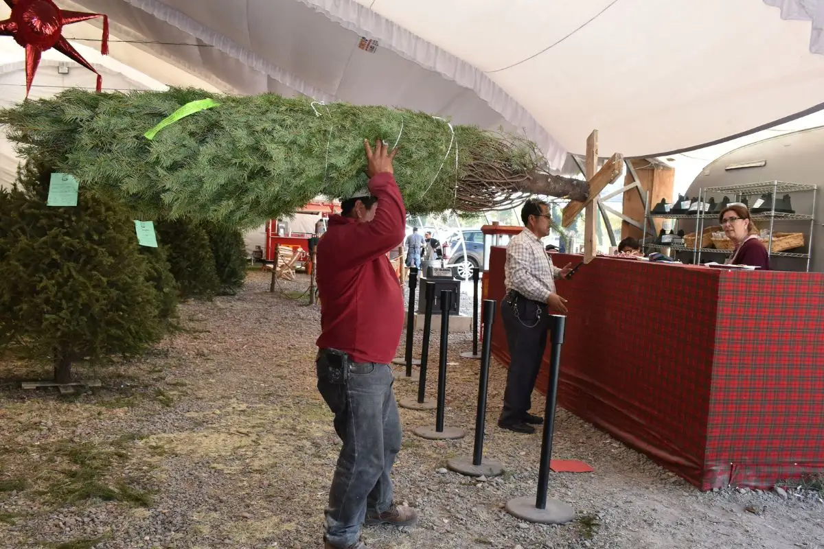 Dan 400 permisos para venta de artículos navideños en Puebla