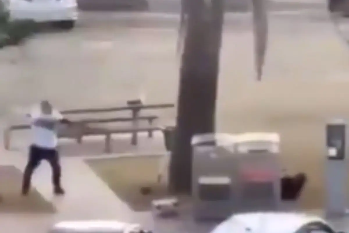 Así desarmaron a los responsables de la balacera durante ataque en Bondi Beach