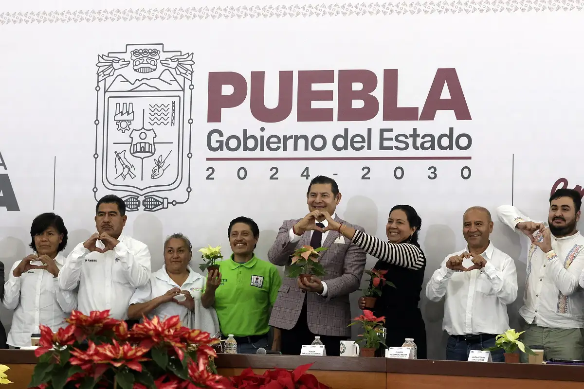 Dulce María aclara si habrá reunión de RBD 1 Delincuentes se disfrazan de políticos, revela Armenta