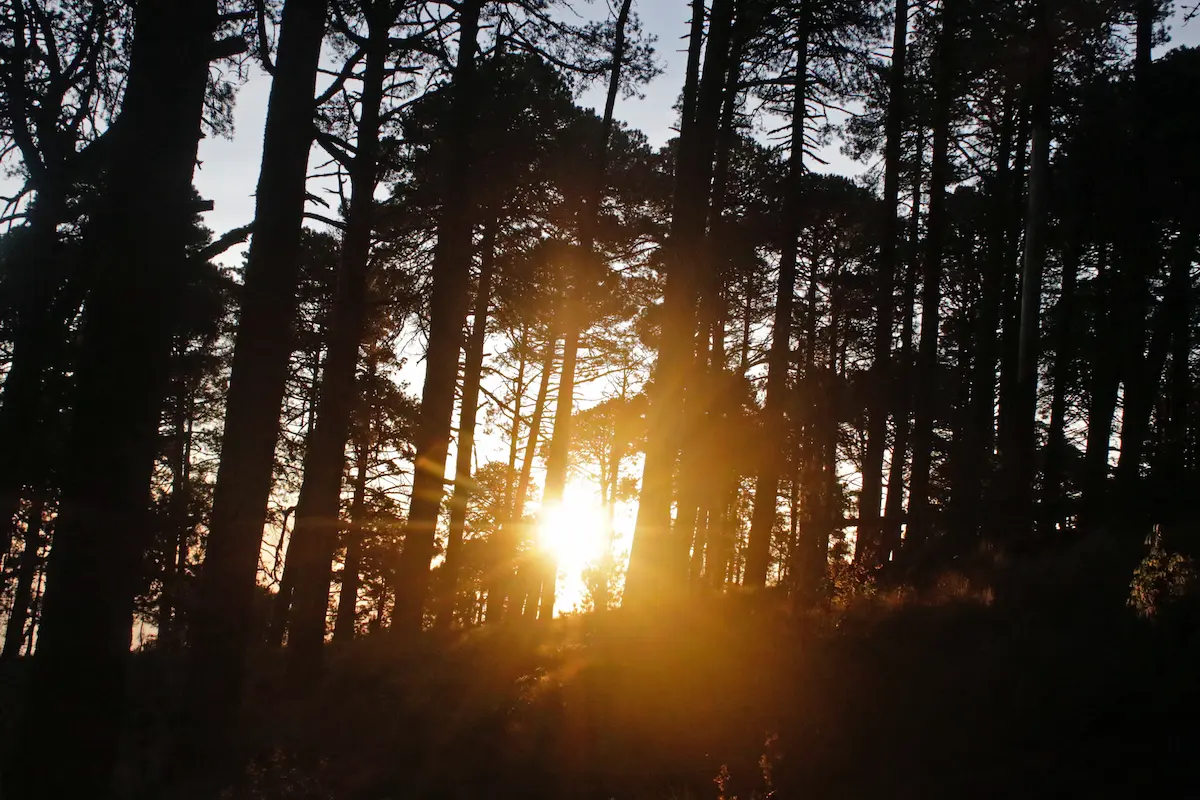 Ecoparque de la Malinche no será Disneylandia