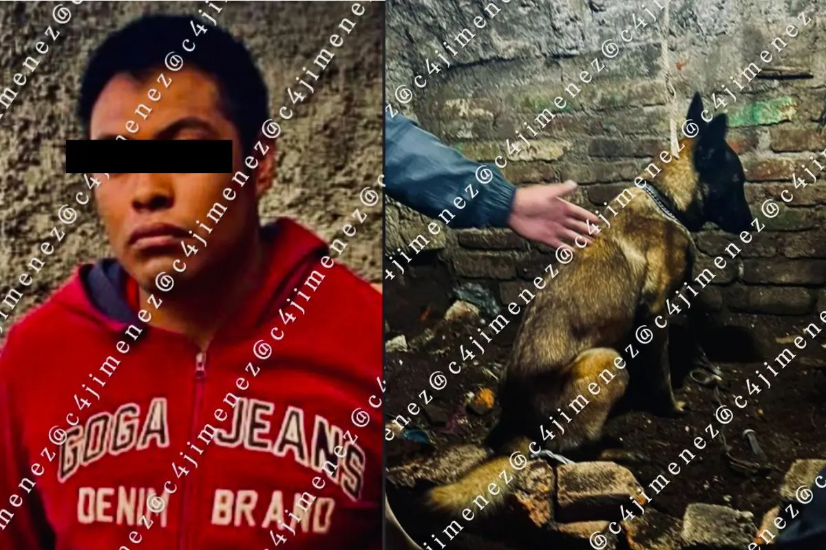 Ex agente asesina a su pareja Jazmín García, la entierra en su casa y perro policía encuentra el cuerpo